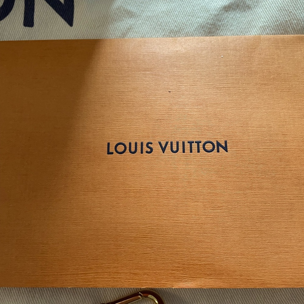 Authentic Louis Vuitton PALLAS handbag